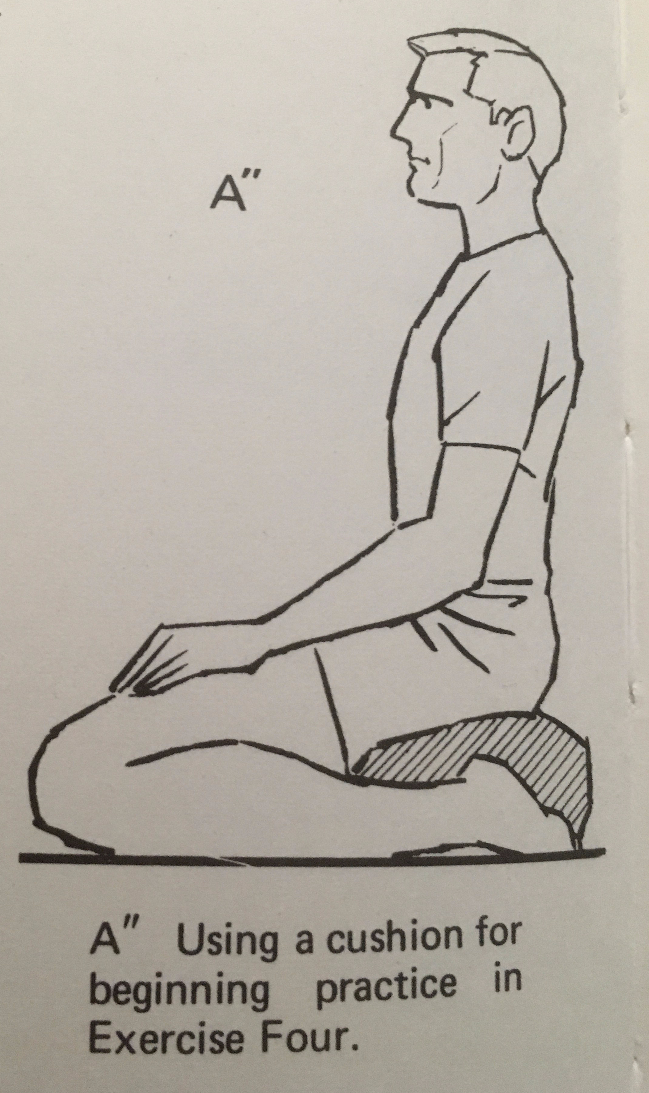 Makko Ho cushion exercise 4